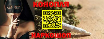 прущие крисы Будённовск