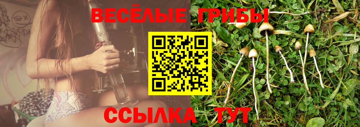 Псилоцибиновые грибы мухоморы Урай
